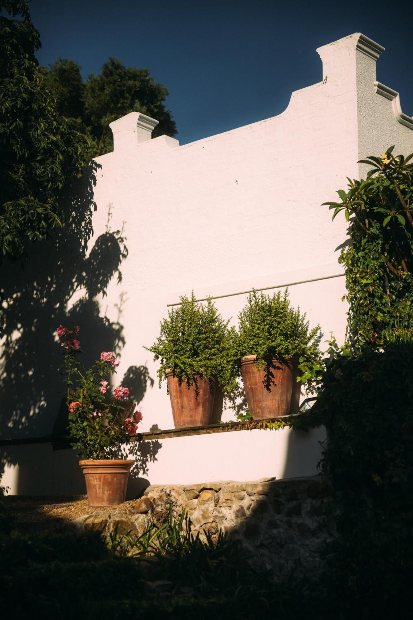 Acorn House Bed & Breakfast Cape Town Eksteriør bilde