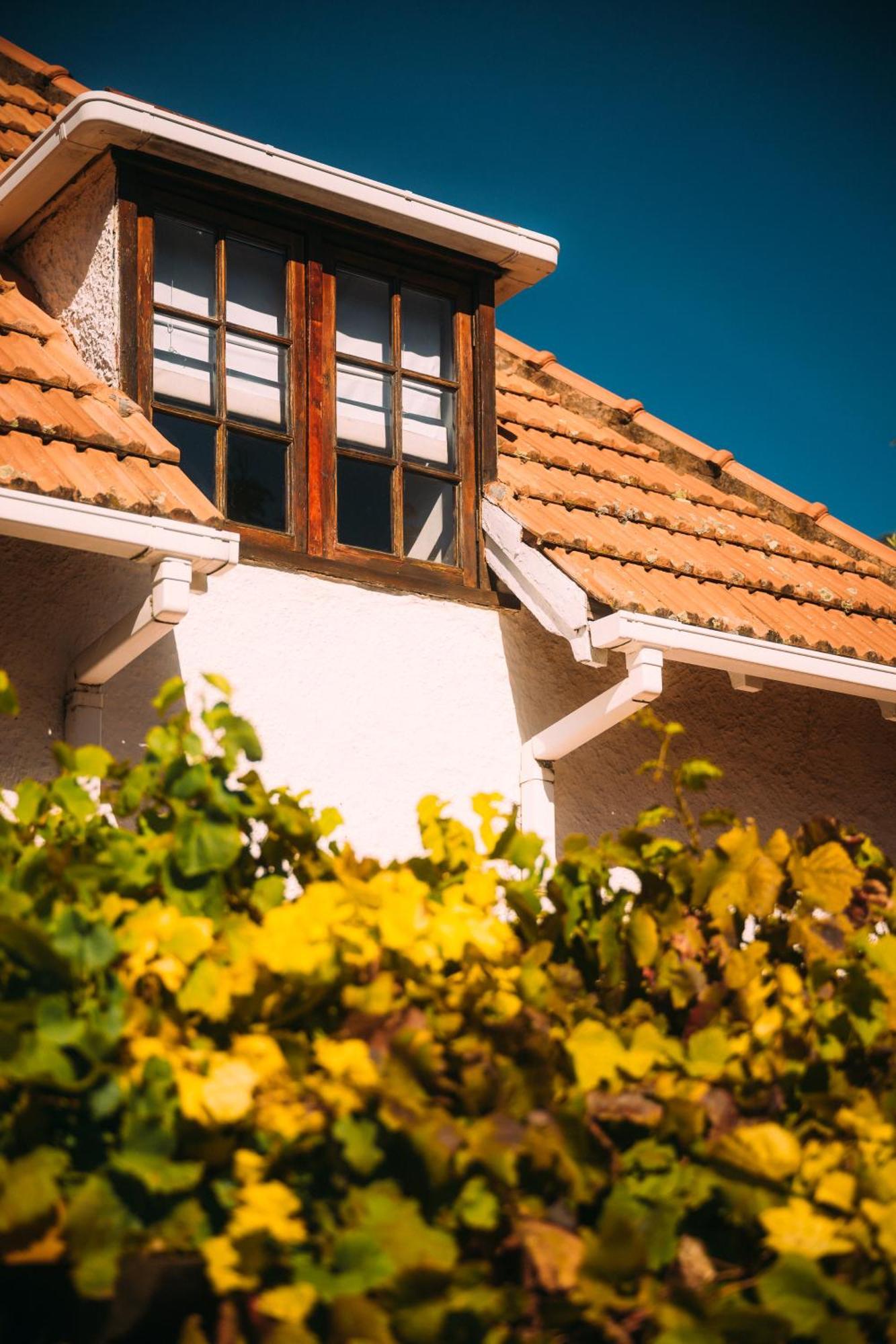 Acorn House Bed & Breakfast Cape Town Eksteriør bilde
