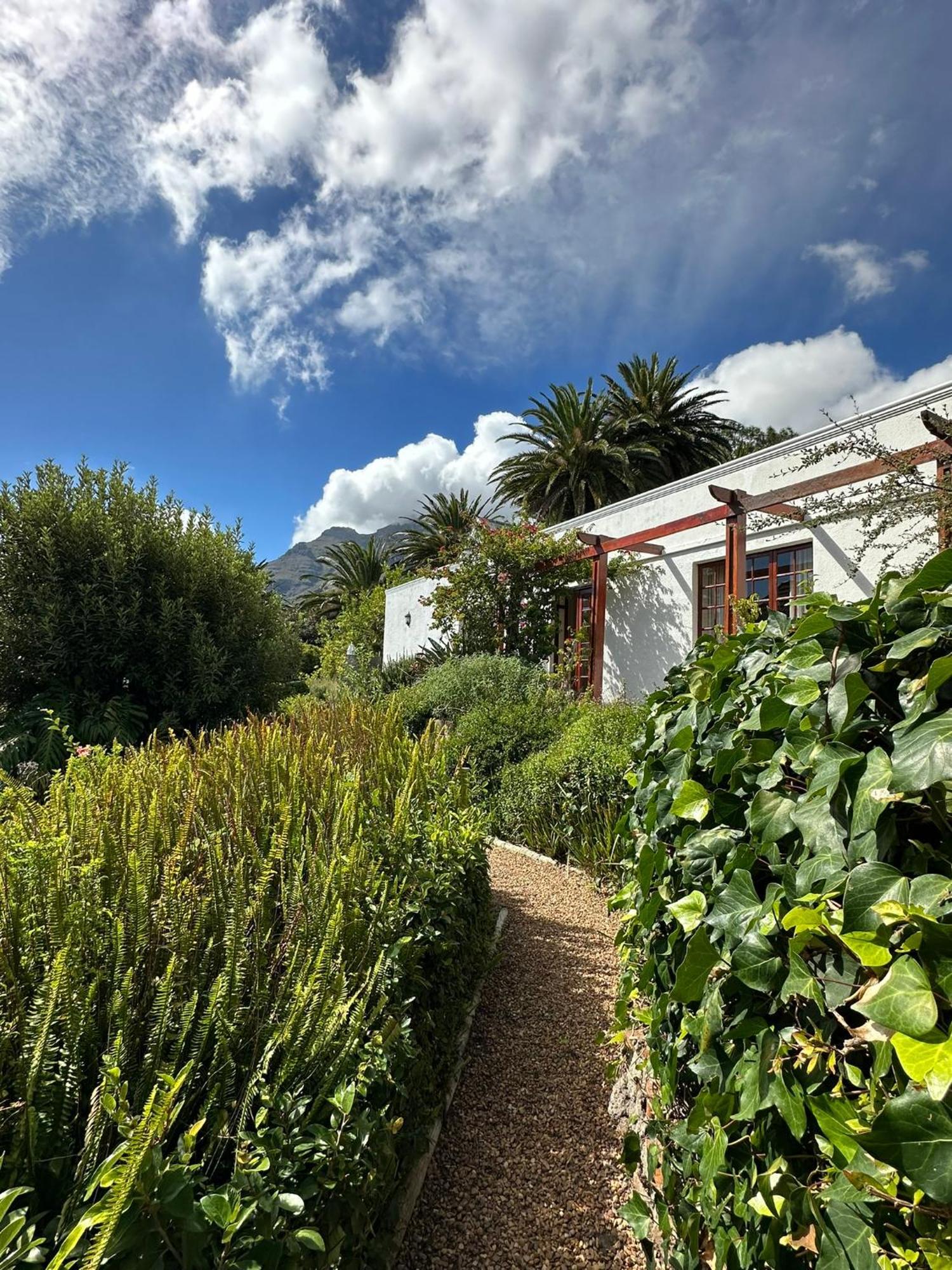 Acorn House Bed & Breakfast Cape Town Eksteriør bilde