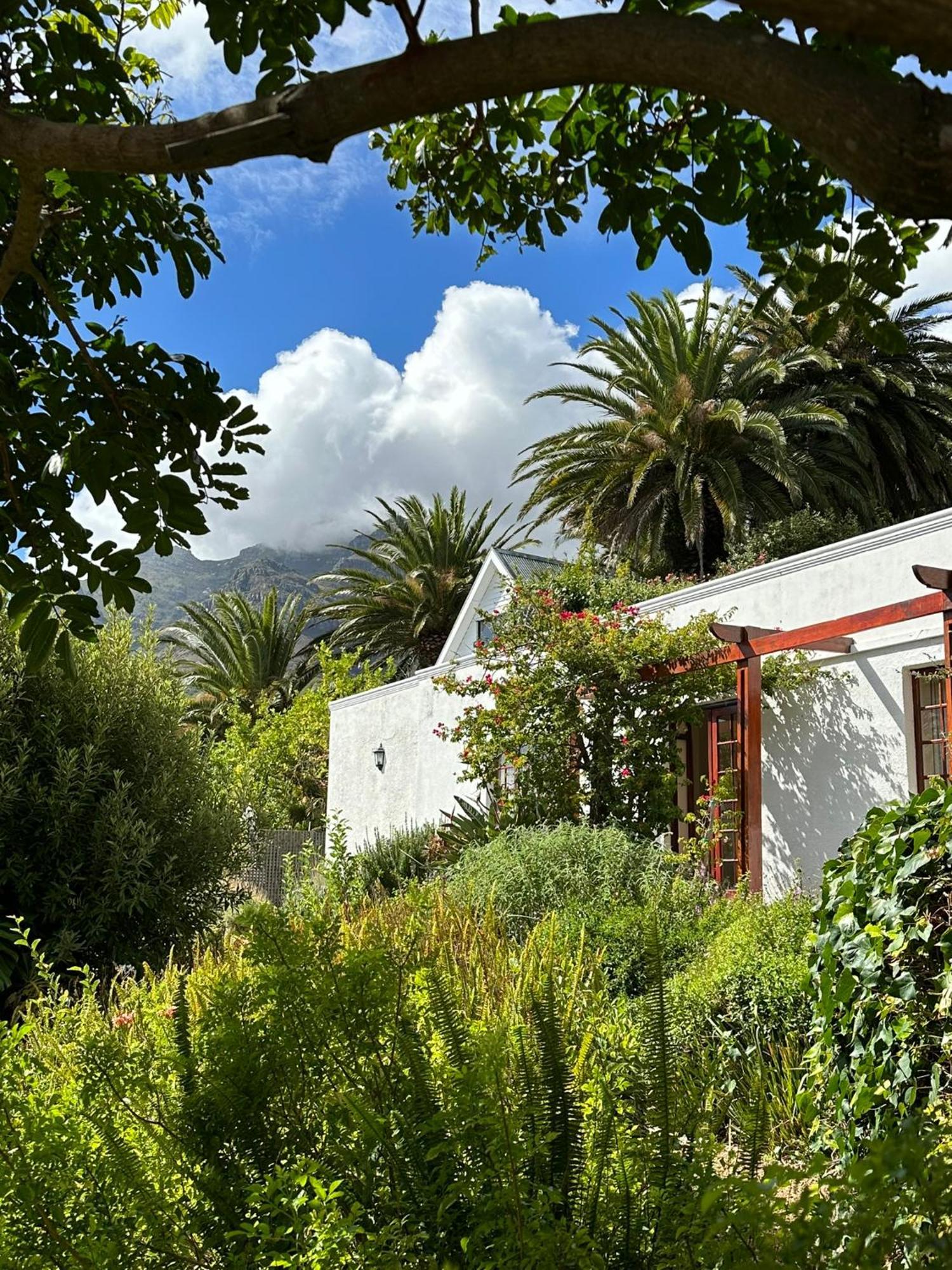 Acorn House Bed & Breakfast Cape Town Eksteriør bilde